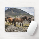 Herd van paarden, nabij Hofn, IJsland Muismat (Met muis)