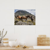 Herd van paarden, nabij Hofn, IJsland Poster (Keuken)