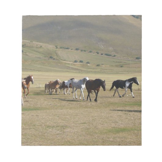 Herd van paarden notitieblok (Voorkant)