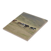 Herd van paarden tegeltje (Zijkant)