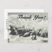 Herd van Walrussen "Dank je wel!" Briefkaart (Voorkant / Achterkant)