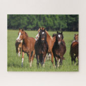 Herd van Welsh Ponies in het veld Legpuzzel (Horizontaal)