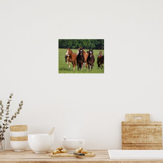 Herd van Welsh Ponies in het veld Poster (Keuken)