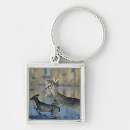 Herd van whitetail die door water loopt sleutelhanger (Voorkant)