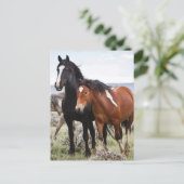 Herd van wilde paarden briefkaart (Staand voorkant)