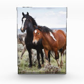 Herd van wilde paarden fotoblokken (Voorkant)