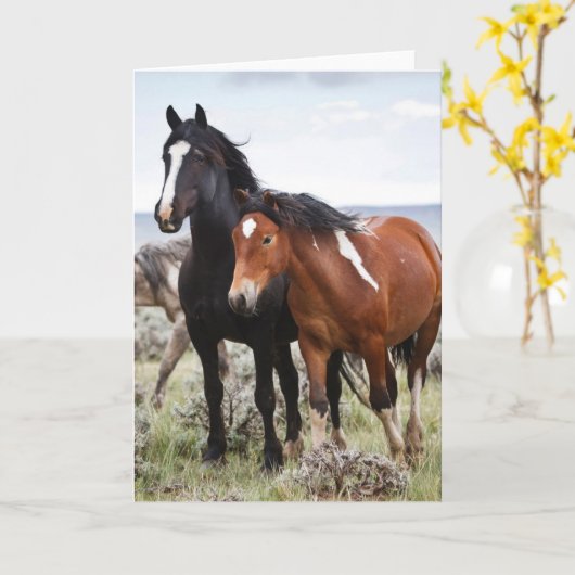 Herd van wilde paarden kaart (Gele Bloem)