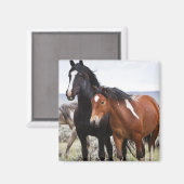 Herd van wilde paarden magneet (Voorkant / Achterkant)