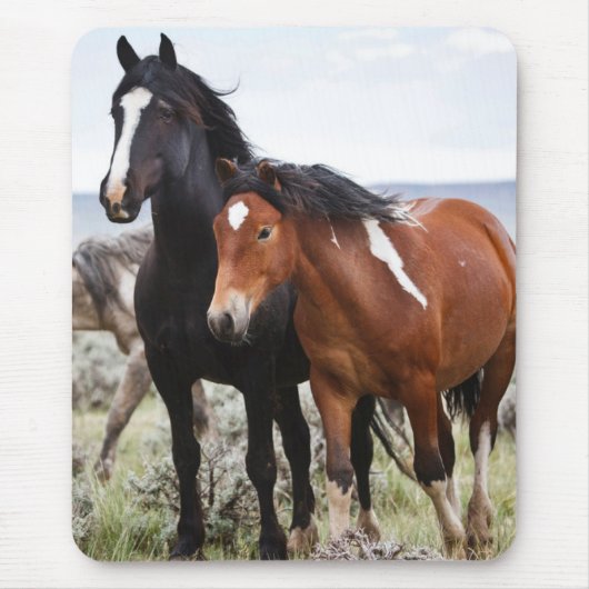 Herd van wilde paarden muismat (Voorkant)