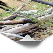 Herd van wilde paarden perfect poster (Hoek)