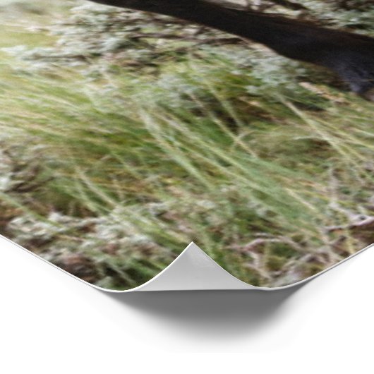 Herd van wilde paarden poster (Hoek)