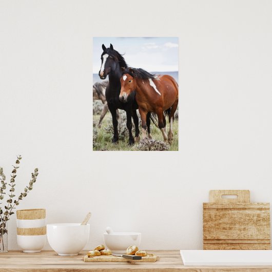 Herd van wilde paarden poster (Keuken)