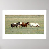 Herd van wilde paarden poster (Voorkant)