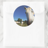 Herd van witte paarden ronde sticker (Tas)