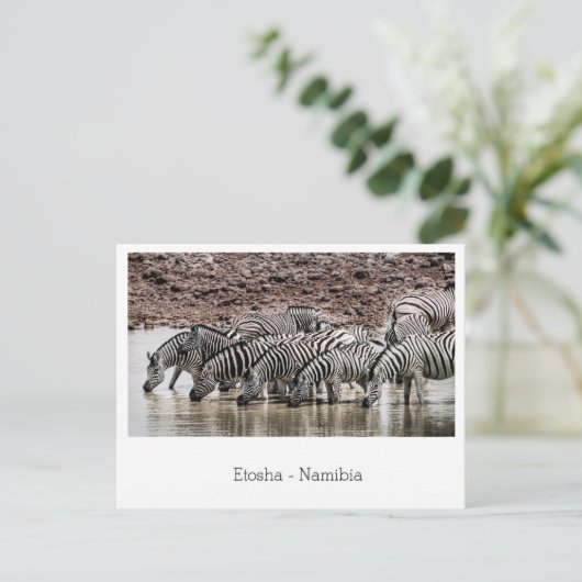 Herd van Zebra door Watergat in Etosha, Namibië Briefkaart (Staand voorkant)