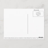 Herd van Zebra door Watergat in Etosha, Namibië Briefkaart (Achterkant)