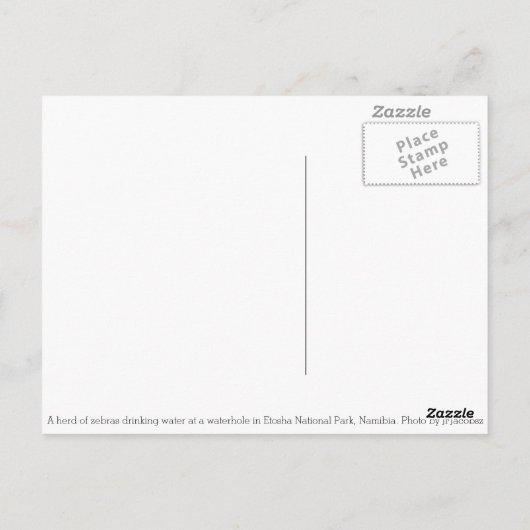 Herd van Zebra door Watergat in Etosha, Namibië Briefkaart (Achterkant)