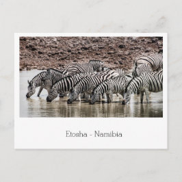 Herd van Zebra door Watergat in Etosha, Namibië Briefkaart