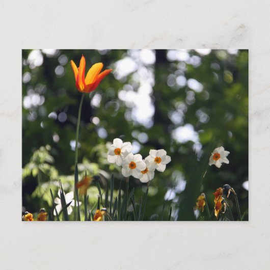 Herdenking Briefkaart (Voorkant)