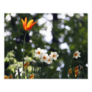 Herdenking Foto Afdruk