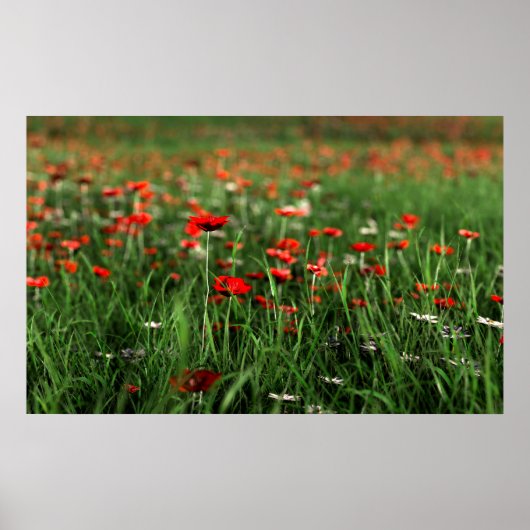 Herdenking (Herdenkingsdag) Poster (Voorkant)