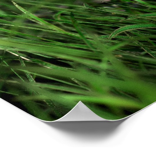 Herdenking (Herdenkingsdag) Poster (Hoek)