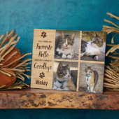 Herdenking huisdier kat Verlies aandenken foto Fotoplaat (Zijkant)