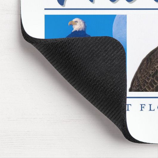 Herdenking van de Harriet SWFL Eagle Cam Muismat (Hoek)