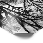 Herdenking van de winterboom in het centrale park foto afdruk (Hoek)