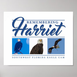 Herdenking van Harriet SWFL Eagle Cam Wall Poster
