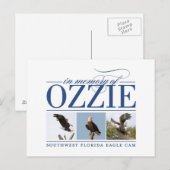 Herdenking van het Briefkaart van Ozzie (Voorkant / Achterkant)