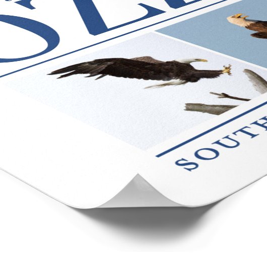 Herdenking van het decoratieve Poster van Ozzie (Hoek)