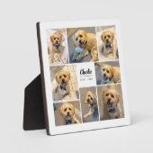 Herdenking van huisdieren 8 Foto gepersonaliseerd Fotoplaat (Voorkant)