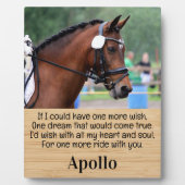 Herdenking van paardenverlies - herdenking foto va fotoplaat (Voorkant)