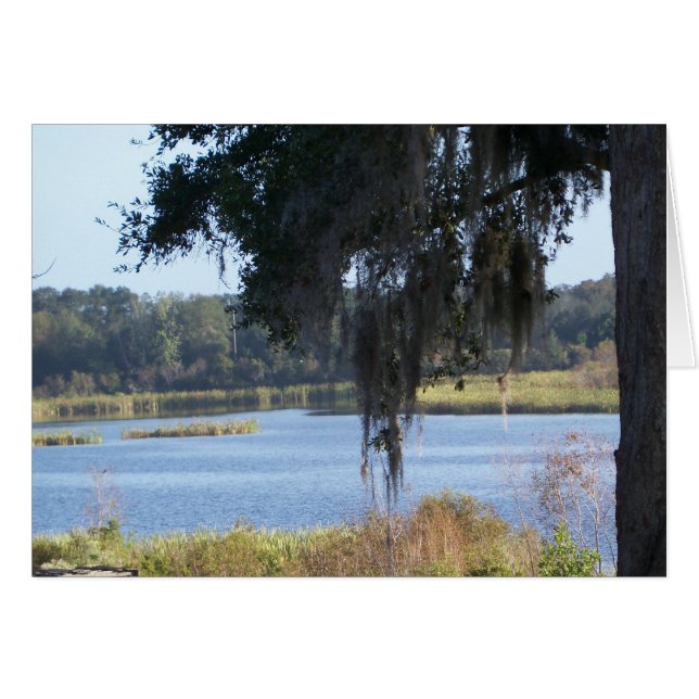 Herdenkingen van het zomerzuidelijke meer (Voorkant Horizontaal)