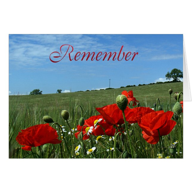 Herdenkingsdag papaverveld (Voorkant Horizontaal)