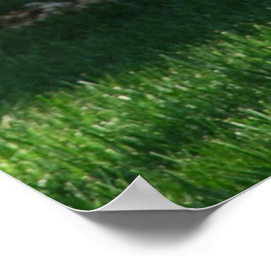 Herdenkingsdag Poster (Hoek)