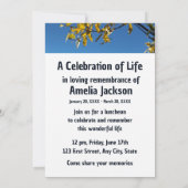 Herdenkingsdienst Nodig Lake Trees Morning Scene u Kaart (Achterkant)