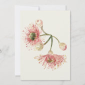 Herdenkingsdienst Viering van het leven | eucalypt Kaart (Achterkant)