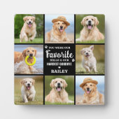 Herdenkingsfoto collage huisdier hond verlies heri fotoplaat (Voorkant)