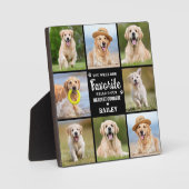 Herdenkingsfoto collage huisdier hond verlies heri fotoplaat (Voorkant)