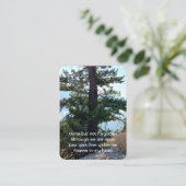 Herdenkingsfoto Gebed Oude Boom Bos Wildernis Visitekaartje (Staand voorkant)