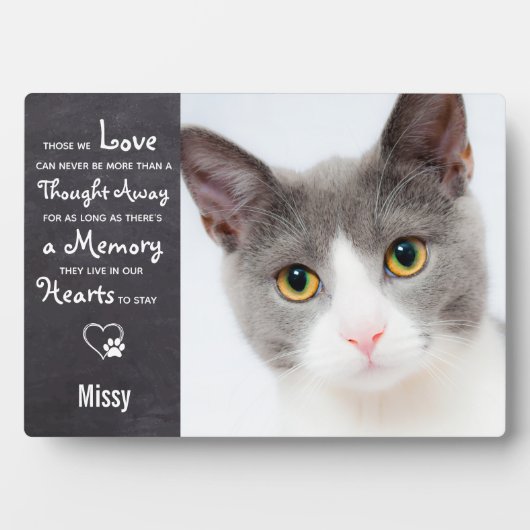 Herdenkingsfoto Katachtigen Monument Fotoplaat (voorkant)