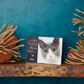 Herdenkingsfoto kattenmonument fotoplaat (Zijkant)