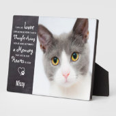 Herdenkingsfoto kattenmonument fotoplaat (Zijkant)
