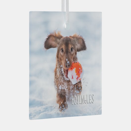 Herdenkingsfoto van Keepomwille Pet Glas Ornament (Voorkant Rechts)