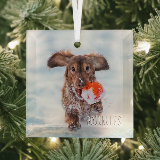 Herdenkingsfoto van Keepomwille Pet Glas Ornament (Insitu)
