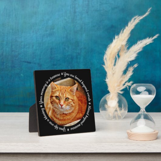 Herdenkingsfotoplaat voor katten fotoplaat (Insitu)