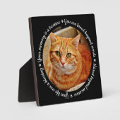 Herdenkingsfotoplaat voor katten fotoplaat (Voorkant)
