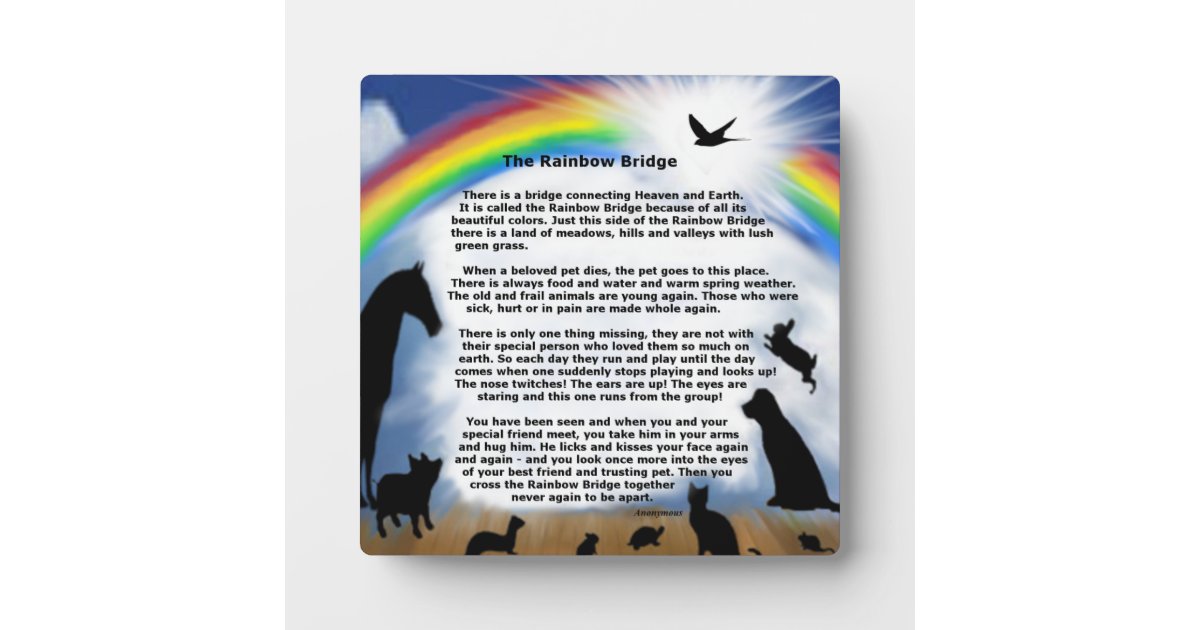 Herdenkingsgedicht Bij De Regenboogbrug Fotoplaat Zazzle nl Herdenkingsgedicht Bij De Regenboogbrug Fotoplaat Zazzle nl